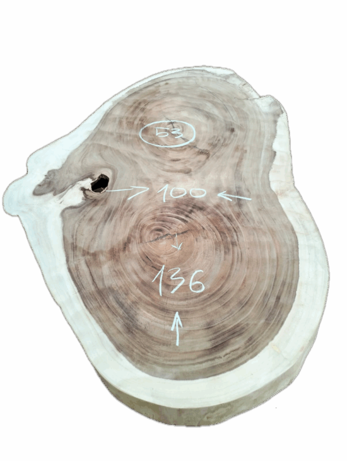 TABLE BASSE SUAR - TBS A53